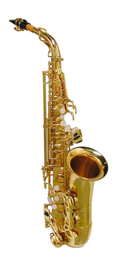 alto sax, Pisoni pads, with soft case, yellow brass lacquer