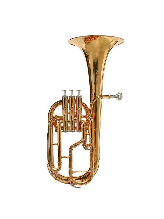 alto horn, gold lacquer, monel valves, with soft case