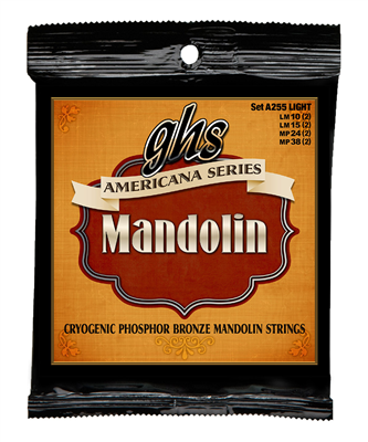 Ghs Americana Mandolin Light 10-38